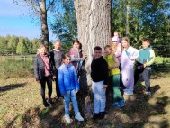 Ogólnopolska kampania